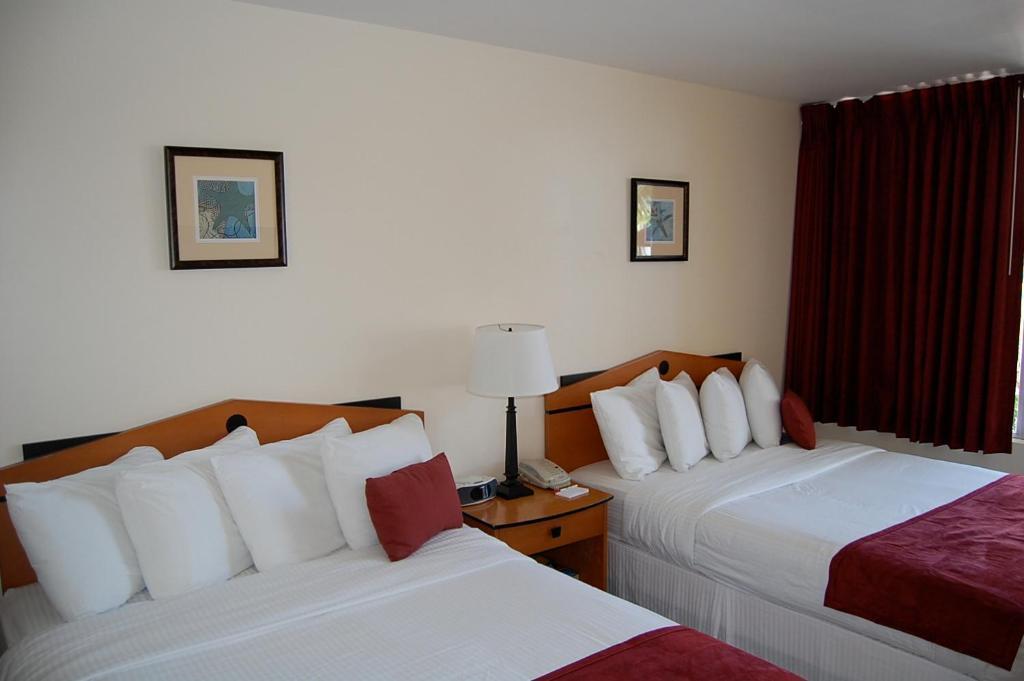 Alcazar Resort- Gay Mens Resort Fort Lauderdale Habitación foto